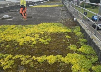 flat roofing facebook gallery 33